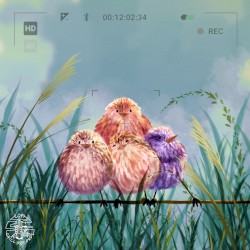 Birdwatching