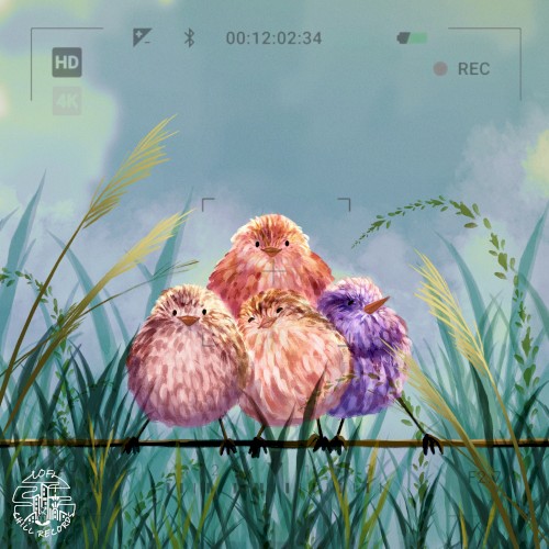 Birdwatching