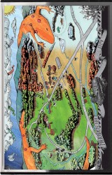 Like a Solid Ghost: The Silver Gymnasium De‐Imagined