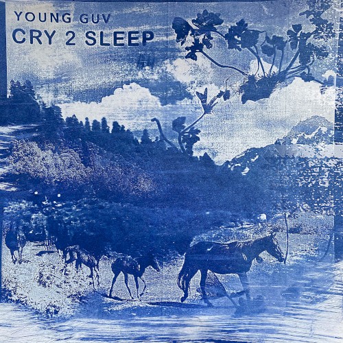 Cry 2 Sleep