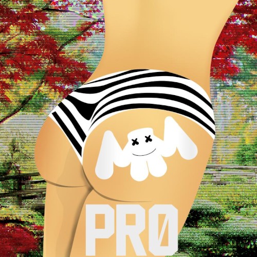 Pr0