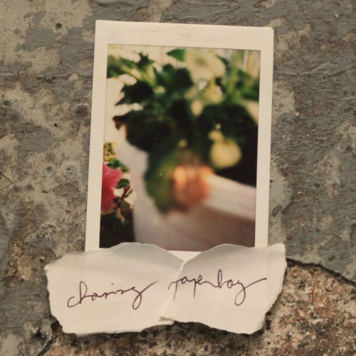 Chasing Paperboy