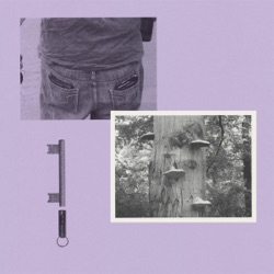 Red Souvenirs Remixes