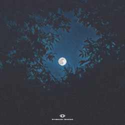 Dear Moonlight