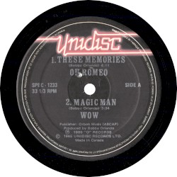 These Memories / Magic Man / I Want A Man