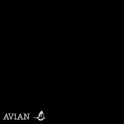 AVN#001