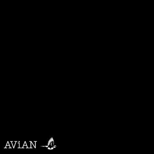 AVN#001