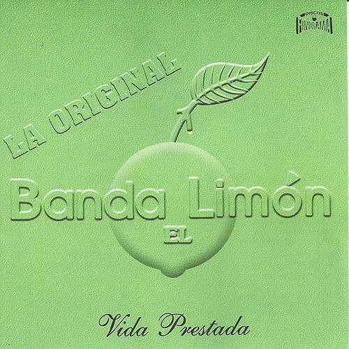 Vida prestada