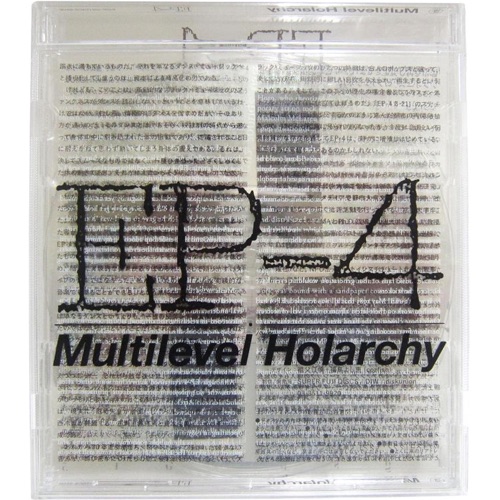 Multilevel Holarchy