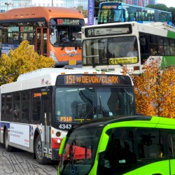 Bus Song