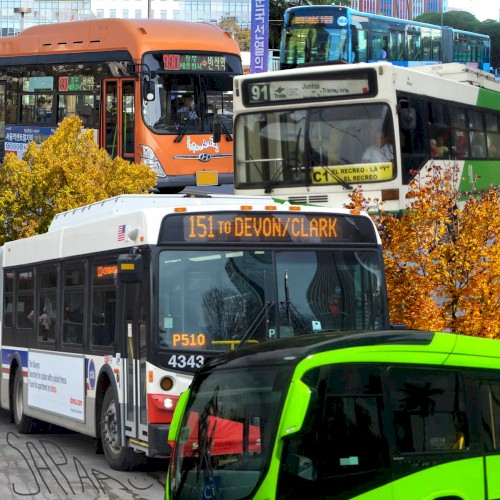 Bus Song