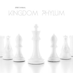 Kingdom Phylum