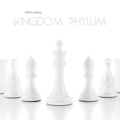 Kingdom Phylum
