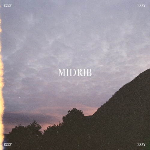 midrib