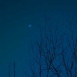 lunar