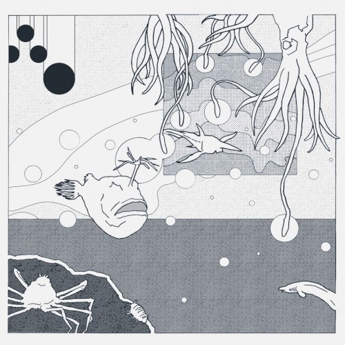 Dwellers of the Seabed
