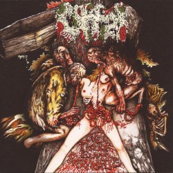 Anatomia / Offal