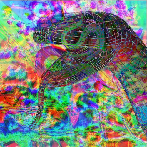 Music for 7 Juvenile Black Pine Snakes