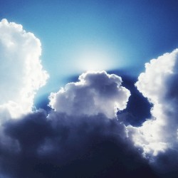 Embrace Continuum