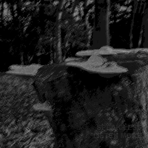 liminal
