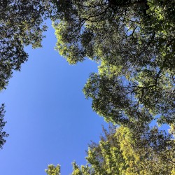 On The Way Down