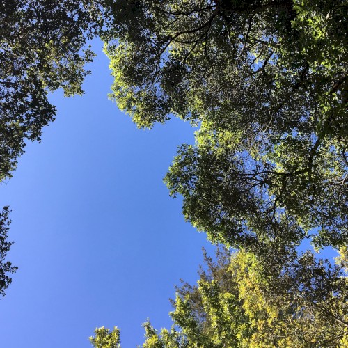 On The Way Down