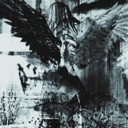 Internet Angel
