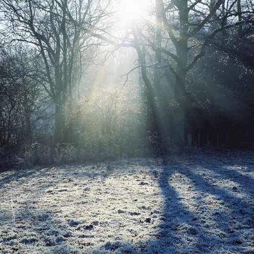 Heavenward