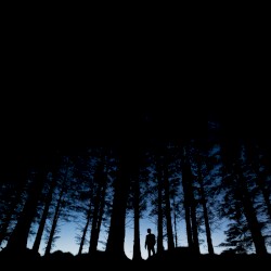 Trails