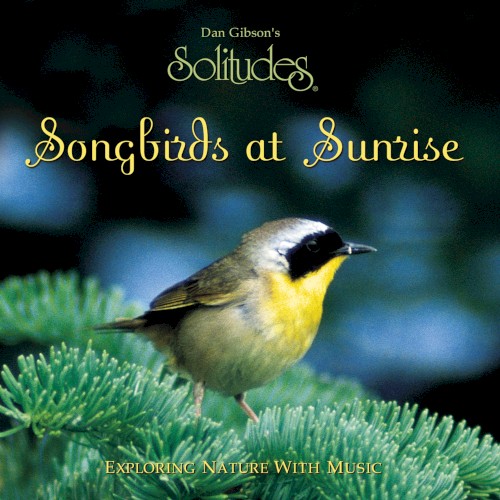 Songbirds at Sunrise
