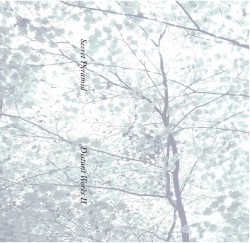 Distant Works II