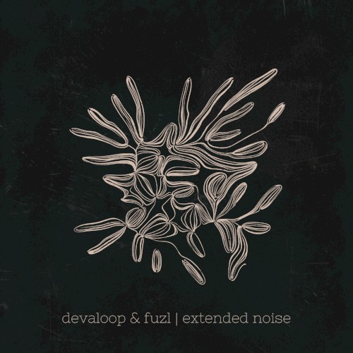 Extended Noise