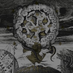 Ophidian Henosis