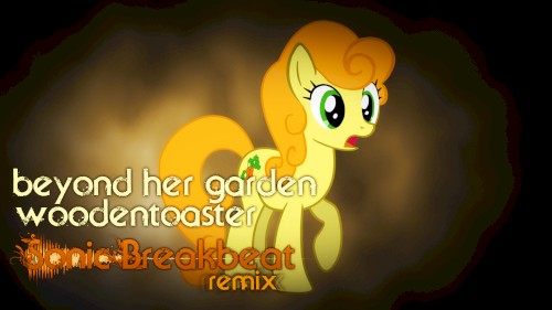 Beyond Her Garden (Sonic Breakbeat Remix)