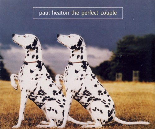 The Perfect Couple