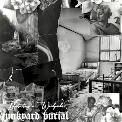 Distorting a Woodpecker / junkyard burial