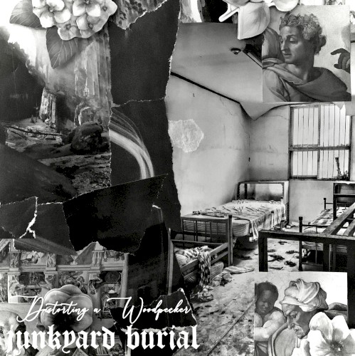 Distorting a Woodpecker / junkyard burial