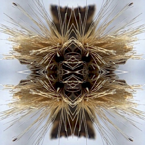 Psychic Malaise