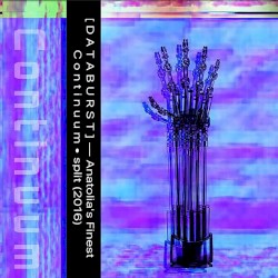 C o n t i n u u m