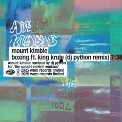 Boxing (DJ Python remix)