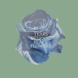 Black Flowers