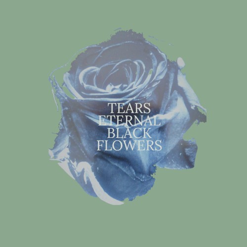 Black Flowers