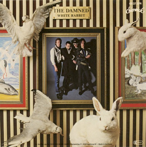 White Rabbit