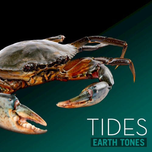 Tides