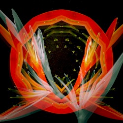 Ａｅｓｔｈｅｔｉｃ Ｔａｐｅｓ Ｖｏｌｕｍｅ 2
