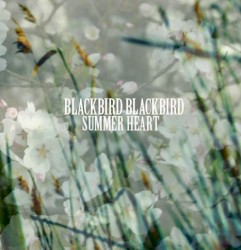 Summer Heart