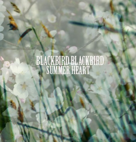 Summer Heart