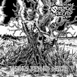 Visions Beyond Death