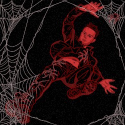Spiders in the Room