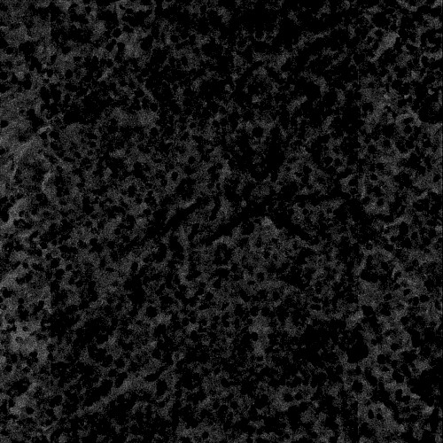 Crevice